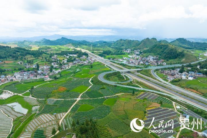 航拍甲樹村蔬菜種植基地。人民網 陽茜攝